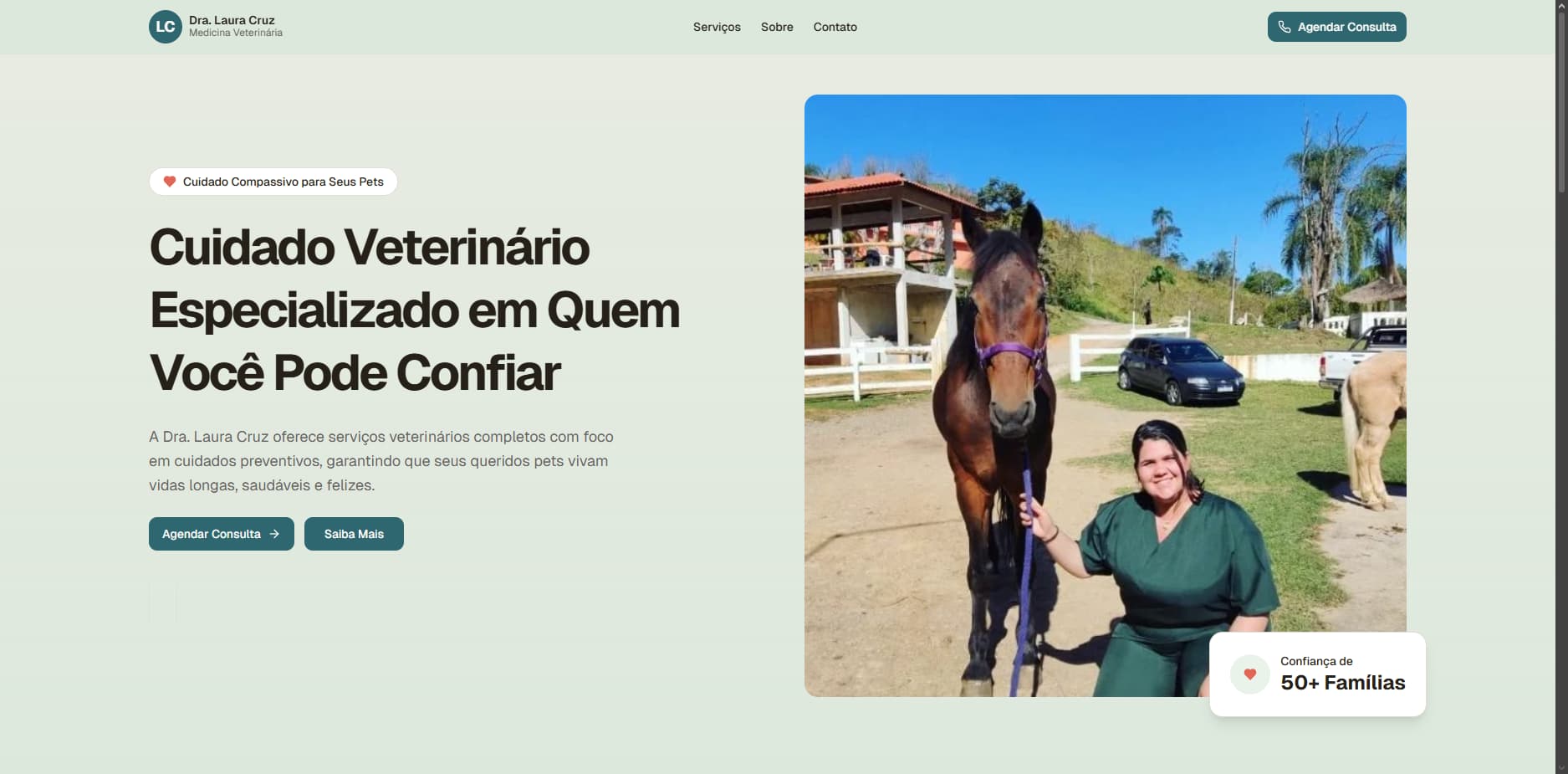 Prévia do site MV Laura Cruz